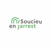 couvreur Soucieu en Jarrest