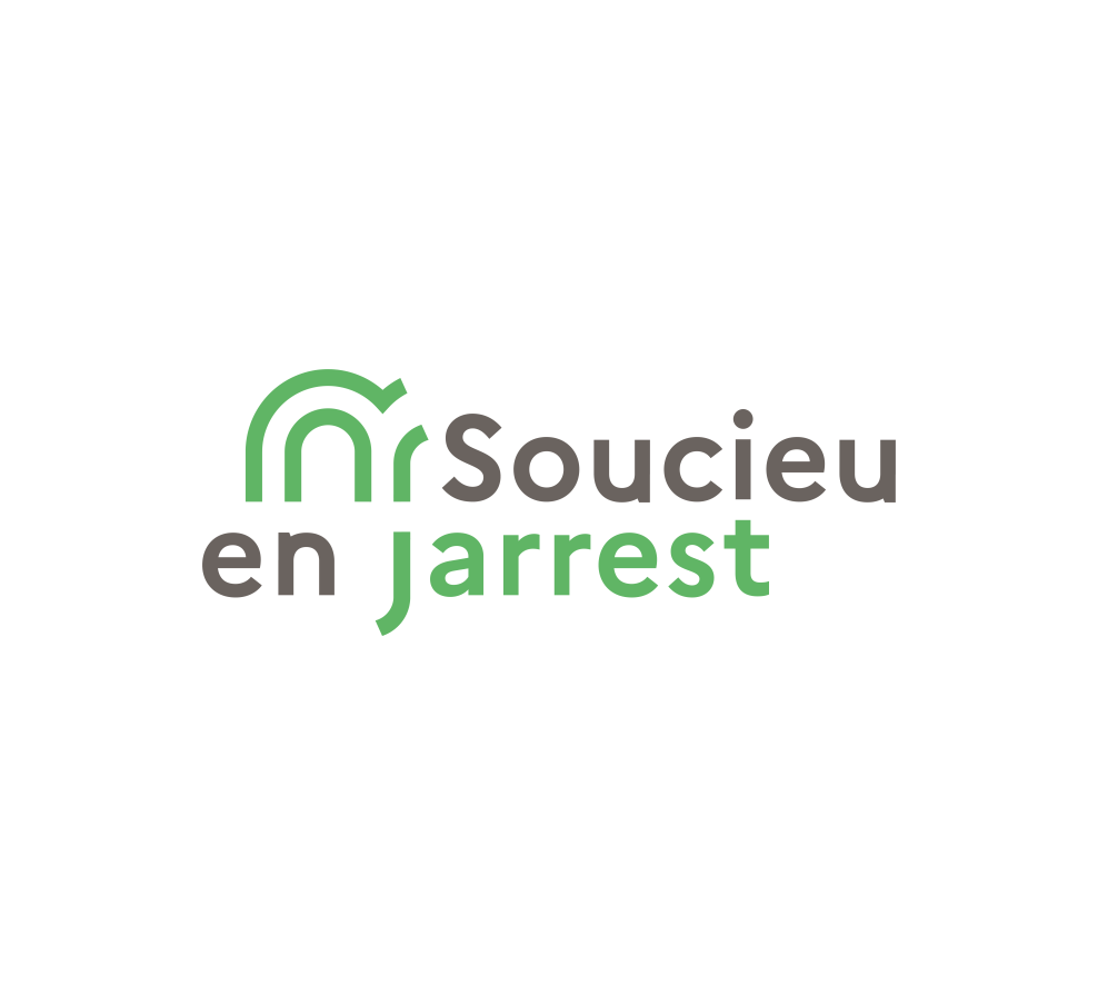 couvreur Soucieu en Jarrest